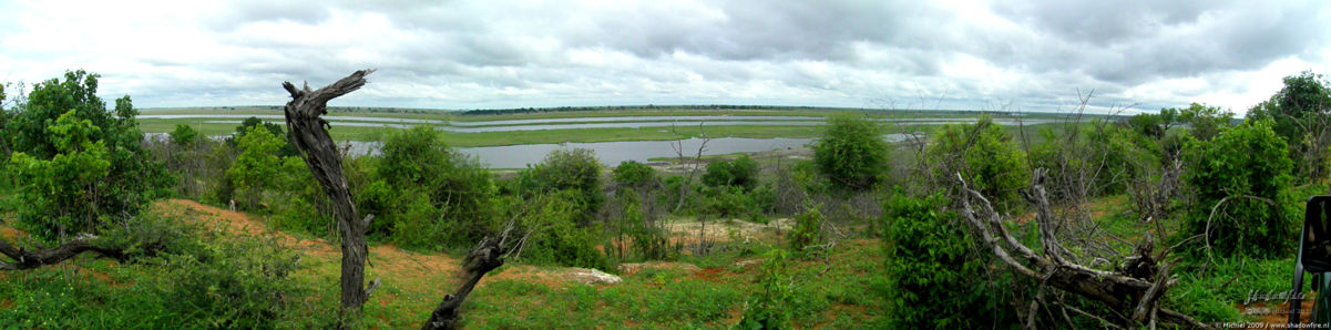 Chobe NP panorama Chobe NP, Botswana, Africa 2011,travel, photography, panoramas