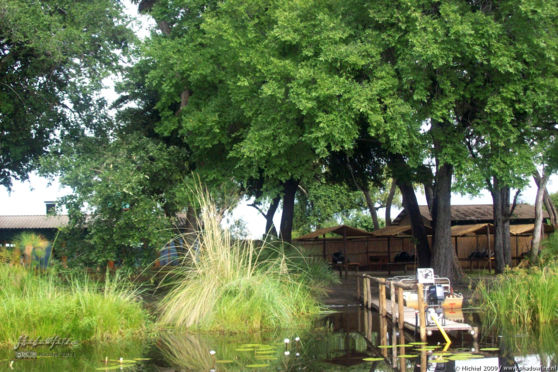 Pepere Island, Okavango Delta, Botswana, Africa 2011,travel, photography