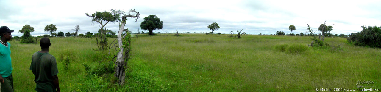 Okavango Delta panorama Okavango Delta, Botswana, Africa 2011,travel, photography,favorites, panoramas