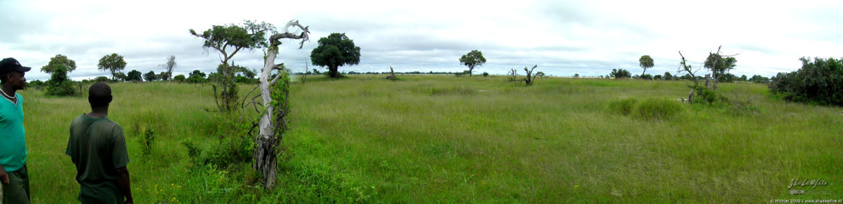 Okavango Delta panorama Okavango Delta, Botswana, Africa 2011,travel, photography,favorites, panoramas