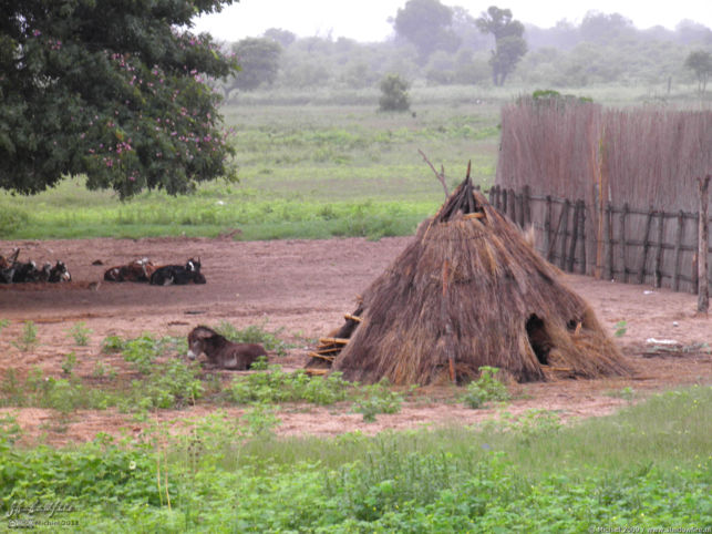 village, Botswana, Africa 2011,travel, photography