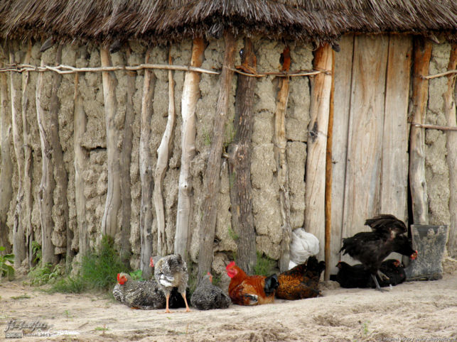 village, Namibia, Africa 2011,travel, photography,favorites