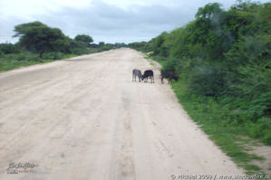 Namibia, Africa 2011,travel, photography