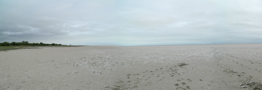 Etosha Pan panorama Etosha Pan, Etosha NP, Namibia, Africa 2011,travel, photography,favorites, panoramas