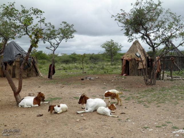 Himba village, Namibia, Africa 2011,travel, photography