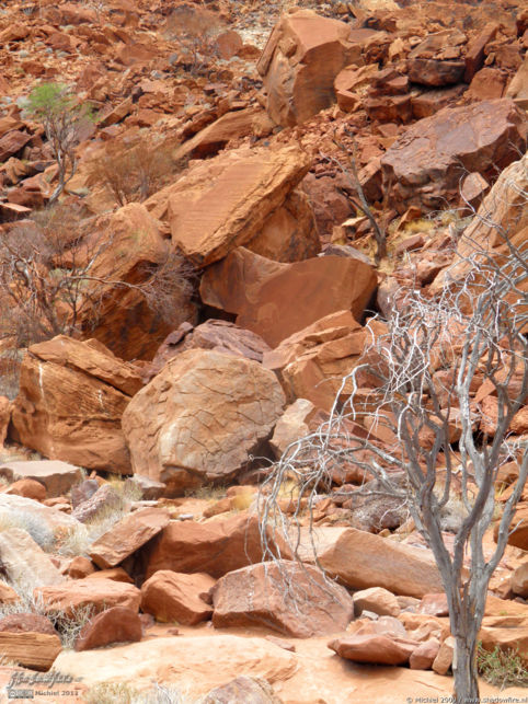 spot the elephant, rock art, Twyfelfontein, Namib Desert, Namibia, Africa 2011,travel, photography