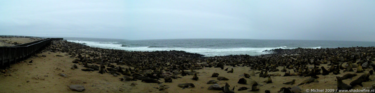 seal panorama seal, Cape Cross, Skeleton Coast, Namibia, Africa 2011,travel, photography,favorites, panoramas