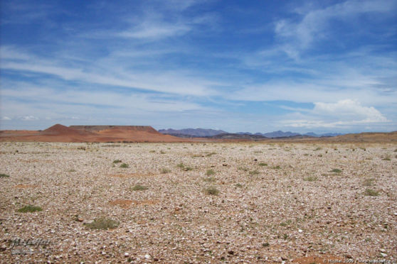 Boes Man, Namib Desert, Namibia, Africa 2011,travel, photography