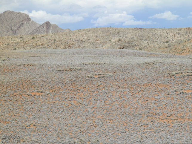 fairy circles, Boes Man, Namib Desert, Namibia, Africa 2011,travel, photography