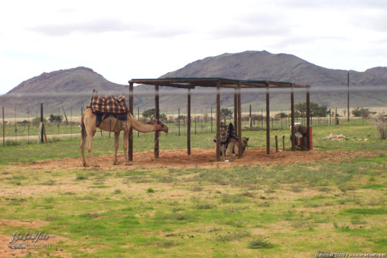 Solitaire, Namib Desert, Namibia, Africa 2011,travel, photography