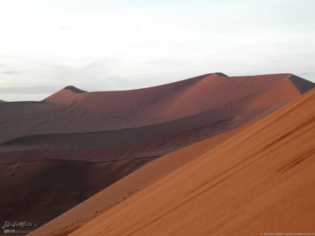 Dune 45, The Sand Dune Sea, Namib Desert, Namibia, Africa 2011,travel, photography