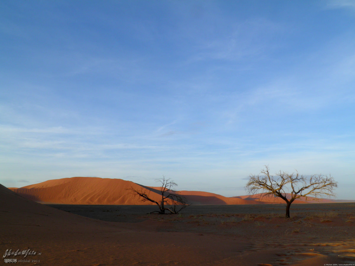 Dune 45, The Sand Dune Sea, Namib Desert, Namibia, Africa 2011,travel, photography,favorites