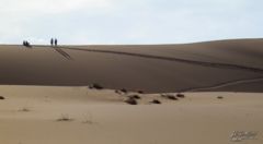 Dead Vlei, The Sand Dune Sea, Namib Desert, Namibia, Africa 2011,travel, photography,favorites