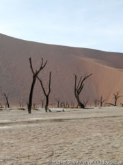 Dead Vlei, The Sand Dune Sea, Namib Desert, Namibia, Africa 2011,travel, photography