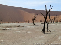 Dead Vlei, The Sand Dune Sea, Namib Desert, Namibia, Africa 2011,travel, photography