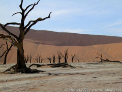 Dead Vlei, The Sand Dune Sea, Namib Desert, Namibia, Africa 2011,travel, photography,favorites