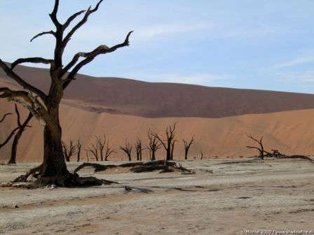 Dead Vlei, The Sand Dune Sea, Namib Desert, Namibia, Africa 2011,travel, photography,favorites