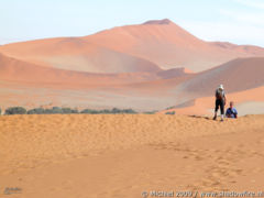 Dead Vlei, The Sand Dune Sea, Namib Desert, Namibia, Africa 2011,travel, photography