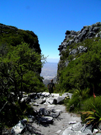 Table Mountain, Cape Town, South Africa, Africa 2011,travel, photography,favorites