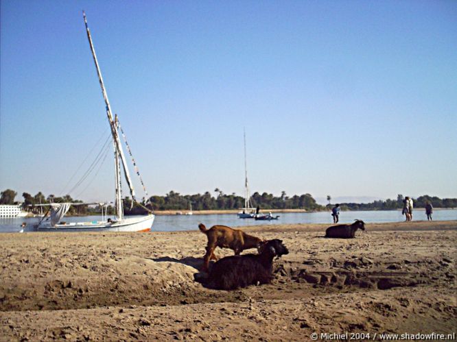 Nile river, Luxor, Egypt 2004,travel, photography,favorites