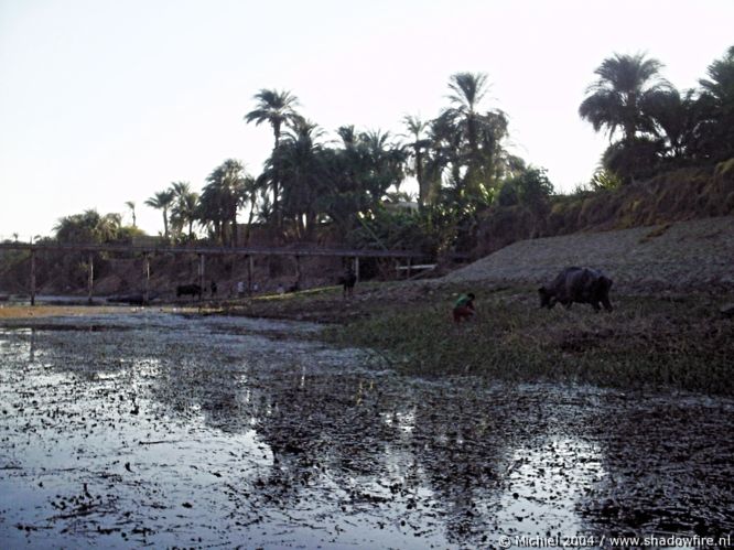 Nile river, Luxor, Egypt 2004,travel, photography,favorites