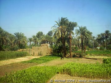 train, Egypt 2004,travel, photography,favorites