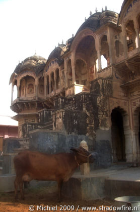 Ram Gopal Poddar, Ramgarh, Shekhawati, Rajasthan, India, India 2009,travel, photography