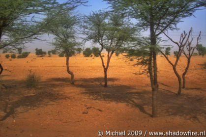 Route 11, Rajasthan, India, India 2009,travel, photography