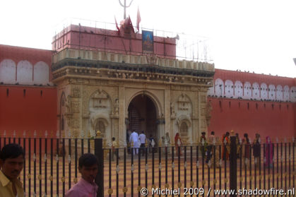 Karni Mata rat temple, Deshnok, Rajasthan, India, India 2009,travel, photography