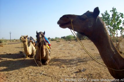 Thar Desert, Rajasthan, India, India 2009,travel, photography