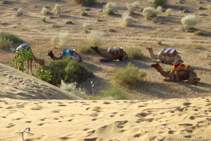 Thar Desert, Rajasthan, India, India 2009,travel, photography,favorites