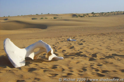 Thar Desert, Rajasthan, India, India 2009,travel, photography