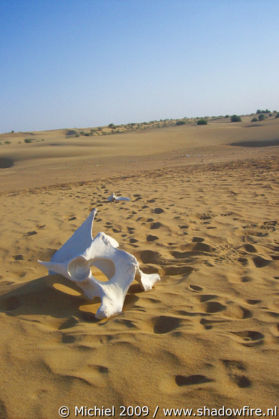 Thar Desert, Rajasthan, India, India 2009,travel, photography,favorites