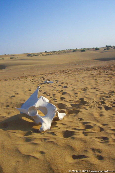 Thar Desert, Rajasthan, India, India 2009,travel, photography,favorites