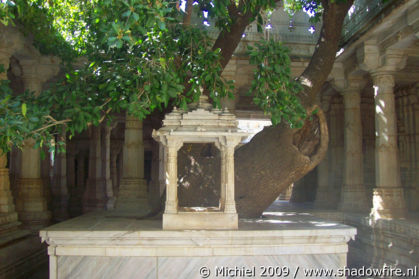 Jain temples, Ranakpur, Rajasthan, India, India 2009,travel, photography