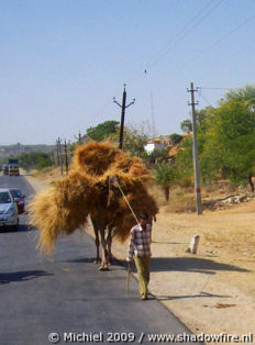 Route 8, Rajasthan, India, India 2009,travel, photography