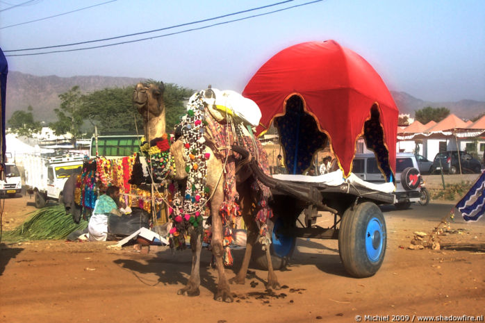 Camel Fair, Pushkar, Rajasthan, India, India 2009,travel, photography