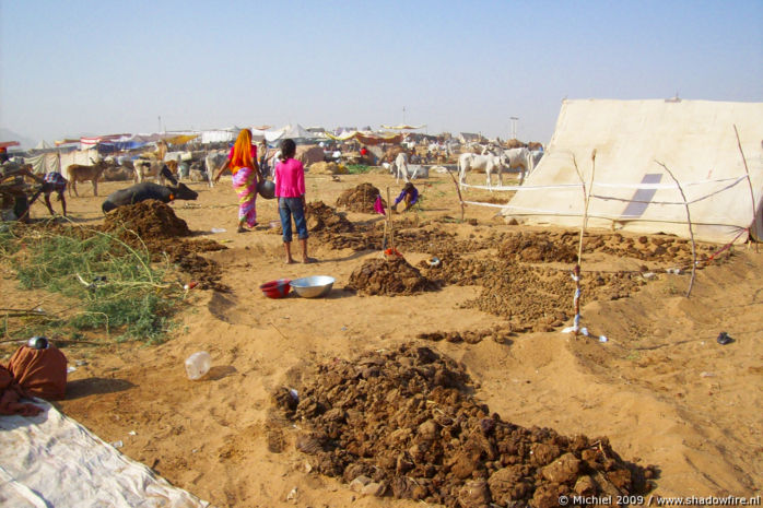 Camel Fair, Pushkar, Rajasthan, India, India 2009,travel, photography