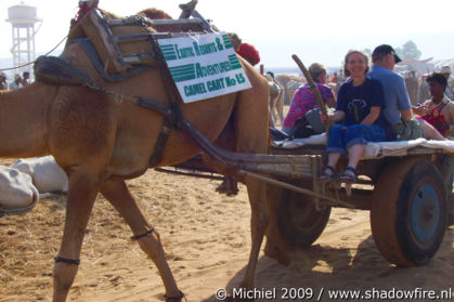 Camel Fair, Pushkar, Rajasthan, India, India 2009,travel, photography