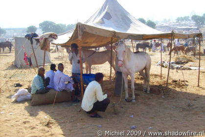 Camel Fair, Pushkar, Rajasthan, India, India 2009,travel, photography