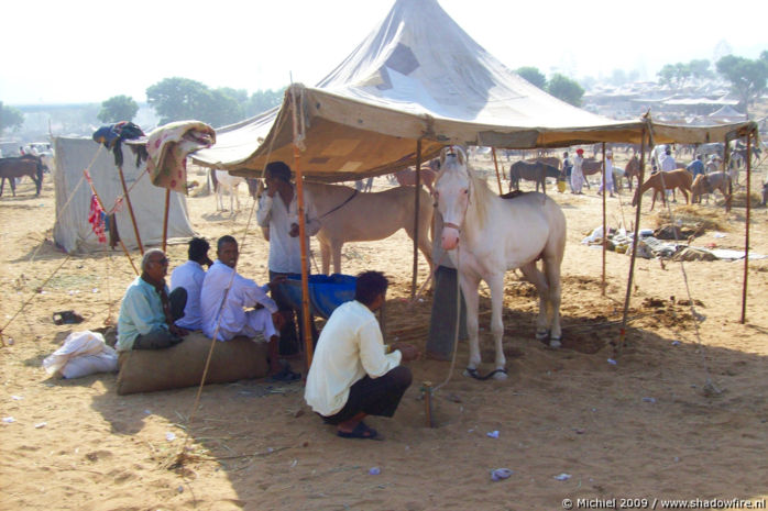 Camel Fair, Pushkar, Rajasthan, India, India 2009,travel, photography