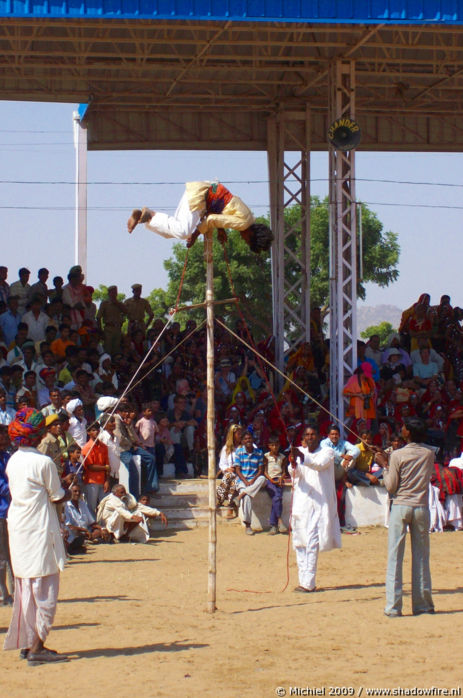 Camel Fair, Pushkar, Rajasthan, India, India 2009,travel, photography