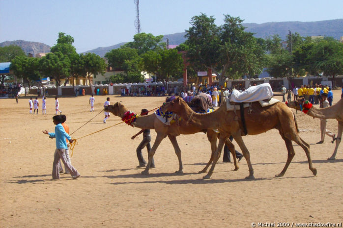 Camel Fair, Pushkar, Rajasthan, India, India 2009,travel, photography