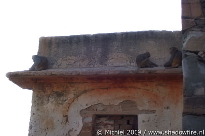 Galta Monkey Temple, Jaipur, Rajasthan, India, India 2009,travel, photography