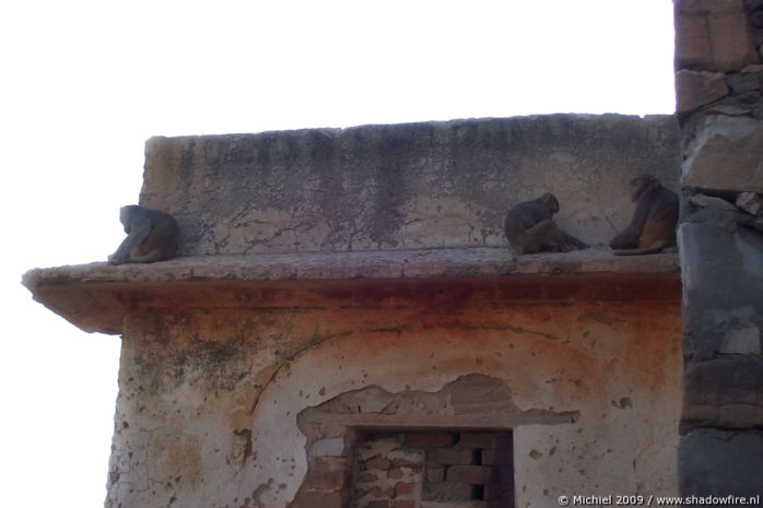 Galta Monkey Temple, Jaipur, Rajasthan, India, India 2009,travel, photography