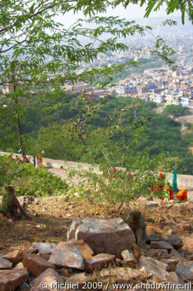 Galta Monkey Temple, Jaipur, Rajasthan, India, India 2009,travel, photography,favorites