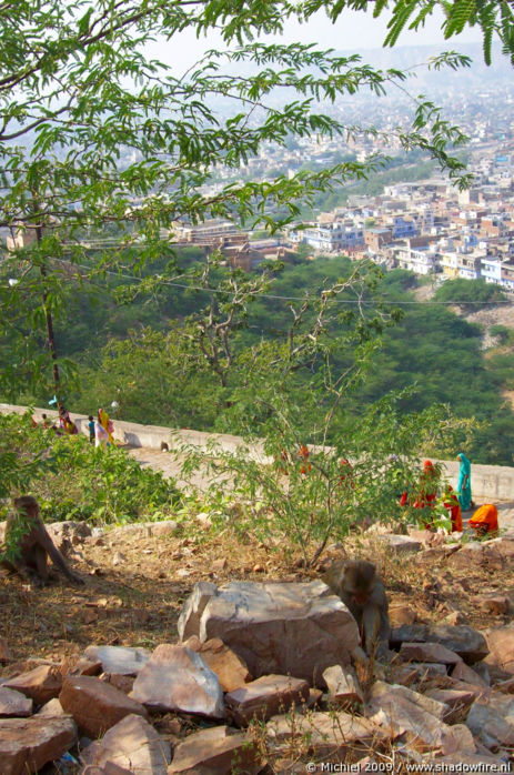 Galta Monkey Temple, Jaipur, Rajasthan, India, India 2009,travel, photography,favorites