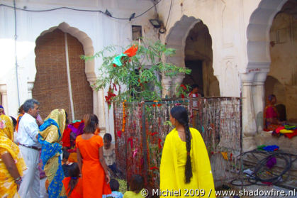 Galta Monkey Temple, Jaipur, Rajasthan, India, India 2009,travel, photography