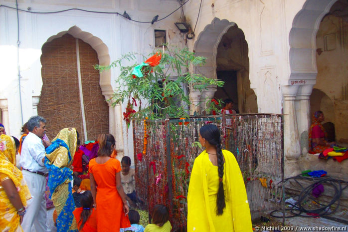 Galta Monkey Temple, Jaipur, Rajasthan, India, India 2009,travel, photography