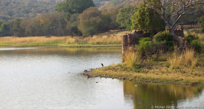 Ranthambhore NP, Rajasthan, India, India 2009,travel, photography